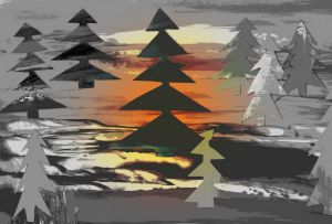 Doug et Tordu dans la forêt bleue Doug et Tordu dans la forêt bleue